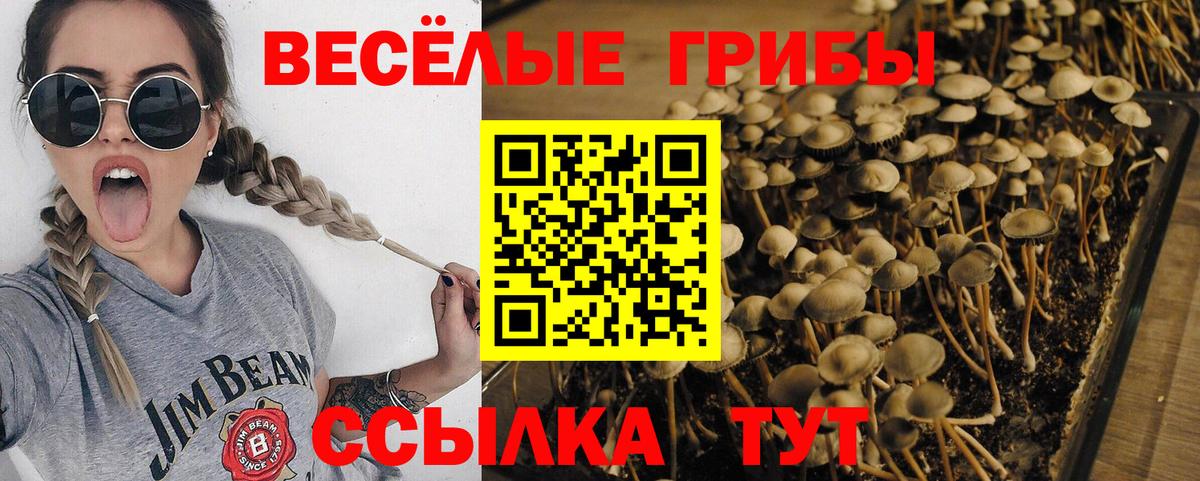 Новый Уренгой  Галлюциногенные грибы Magic Shrooms  Вход с VPN 